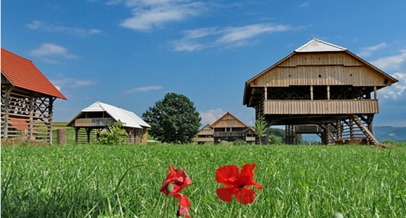 kozolci